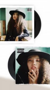 Cubierta_para_vinilo